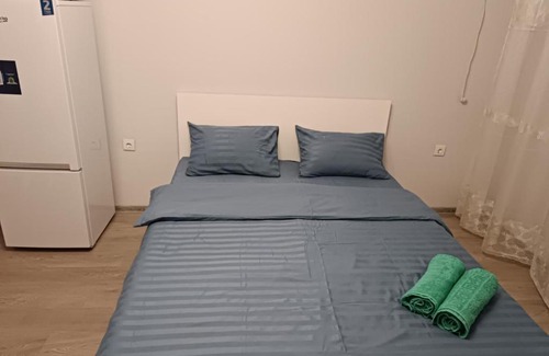 Kaztsik Apartment | Квартира Алматы