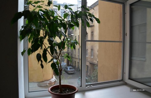 Vladimirskiy Apartment | Комнаты в Кузнечном переулке