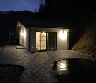 Soymy Apartment | Котедж Грабовець