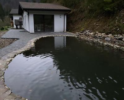 Soymy Apartment | Котедж Грабовець