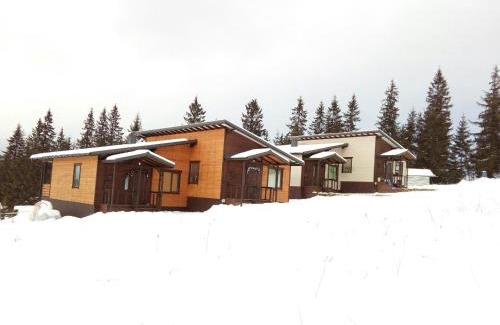 Yablunytsya House | Коттедж для отдыха Дискавери