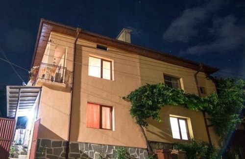 Dobrinishte House | Къща за гости ФЪН ШУЙ 88