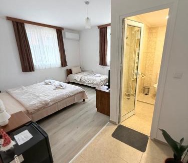 Dobrinishte House | Къща Цвети