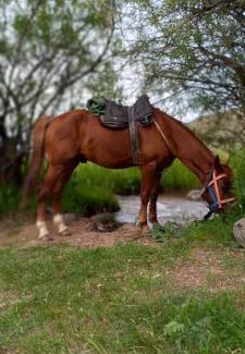 Bosteri Other | Кызыл Жар Кемпинг