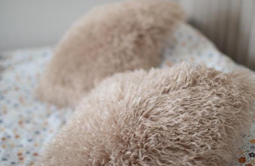 Lviv City Center Apartment | Львівський затишок