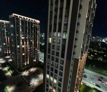 Ulytau District Apartment | Люкс апартамент Ботанический Сад