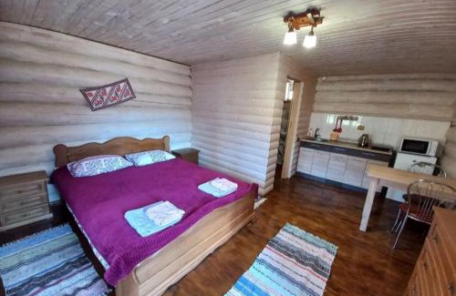 Synevyrska Polyana Apartment | Маєток У Ґазди