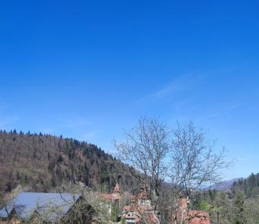 Yaremche Villa | На Дачній