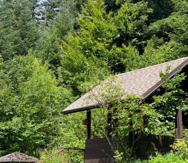 Skhidnytsya Cabin | Оранта