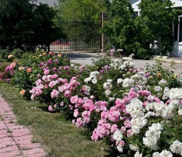 Ak-Talaa District House | Пансионат Зето