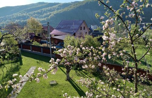 Yaremche House | Приватна садиба Яблуневий сад 1