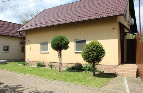 Berehove Apartment | Ріточка