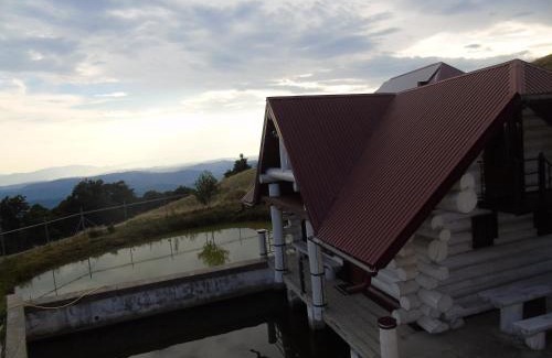 Transcarpathia Cabin | Садиба Апецька