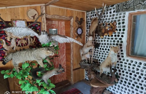 Transcarpathia Apartment | Садиба в горах "Кришталева Хата"