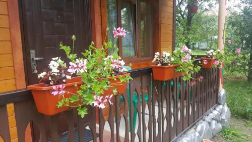 Yaremche House | Садиба Гуцулка Ксеня