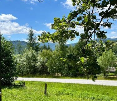 Pidhorodtsi Ski Chalet | Садиба Лісова