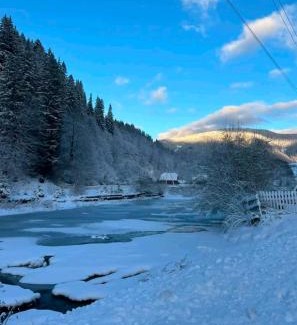 Synevyrska Polyana House | Садиба у Софійки