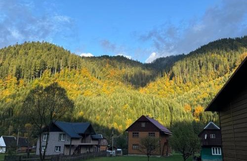 Synevyrska Polyana House | Садиба у Софійки