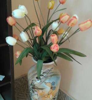 Vranyantsi Hotel | Семеен хотел Пауталия