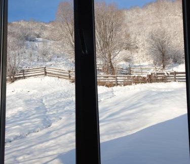 Soymy Villa | Синевирський Краєвид