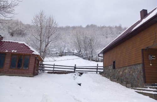 Soymy Villa | Синевирський Краєвид