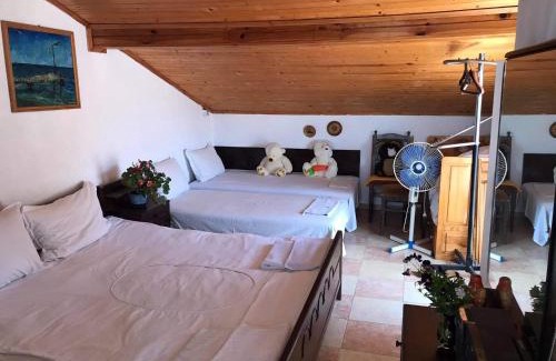 Shabla House | слънце