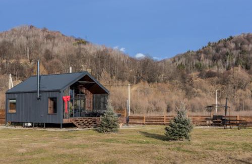 Nizhneye Sinevidnoye Ski Chalet | Стожари, Stozhary