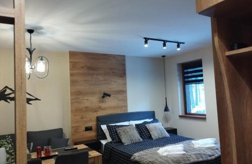 Pamporovo Apartment | студио Е 13