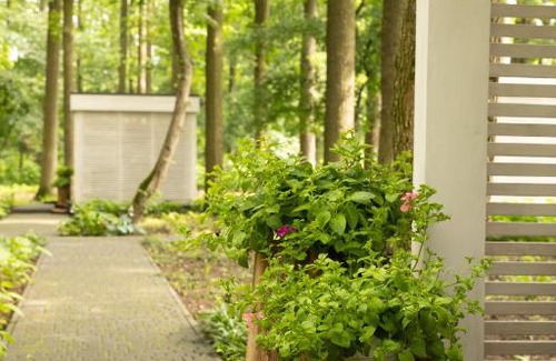 Cherkasy Oblast Hotel | Телячі Ніжності