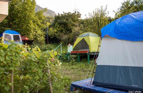 Armenia Other | Тереза кемпинг