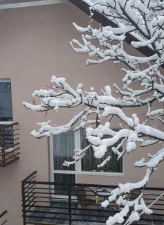 Yaremche Apartment | Три горішки