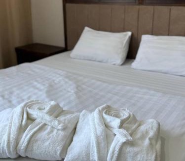 Taraz Hotel | Турист