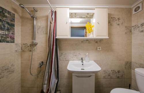 Lyuta Apartment | Урочище Rafnivskyi