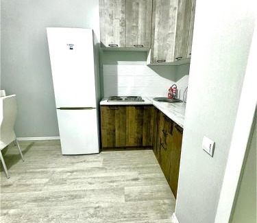 Kokshetau Apartment | Уютная 1 ком кв на жк Мадина