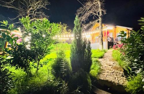 Tbilisi House | Уютный Деревянный дом в Кикети