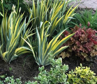 Tiraspolul Nou House | УЮТНЫЙ ДОМ ДЛЯ ОТДЫХА, город-Бендеры ,Приднестровье