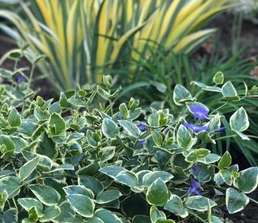 Tiraspolul Nou House | УЮТНЫЙ ДОМ ДЛЯ ОТДЫХА, город-Бендеры ,Приднестровье