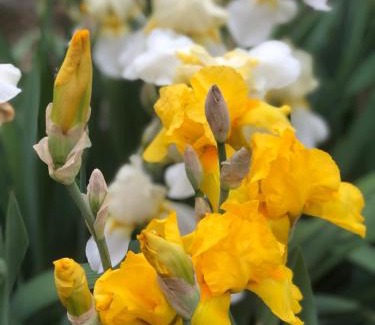 Tiraspolul Nou House | УЮТНЫЙ ДОМ ДЛЯ ОТДЫХА, город-Бендеры ,Приднестровье