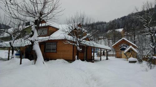 Yaremche Apartment | У Любчика