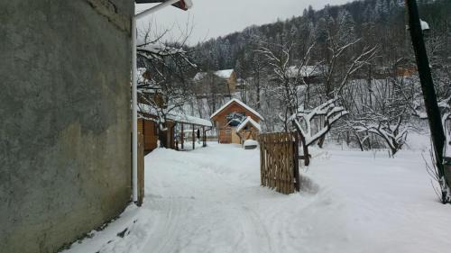 Yaremche Apartment | У Любчика