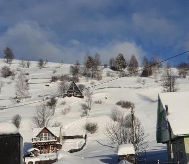 Synevyrska Polyana House | "Файна хата"