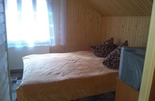 Yablunytsya Apartment | Хатина в горах