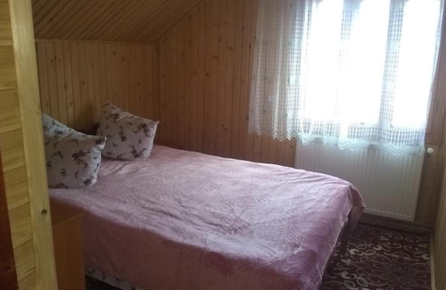 Yablunytsya Apartment | Хатина в горах