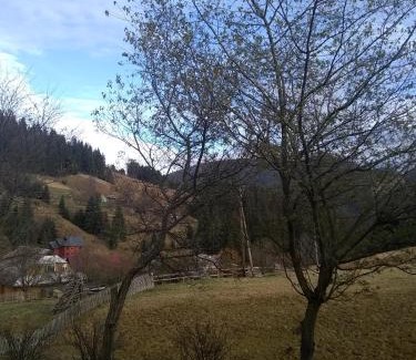 Yablunytsya Apartment | Хатина в горах