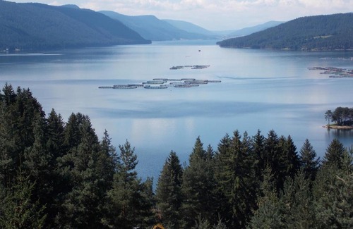 Dospat Hotel | Хотел ПАНОРАМА ДОСПАТ