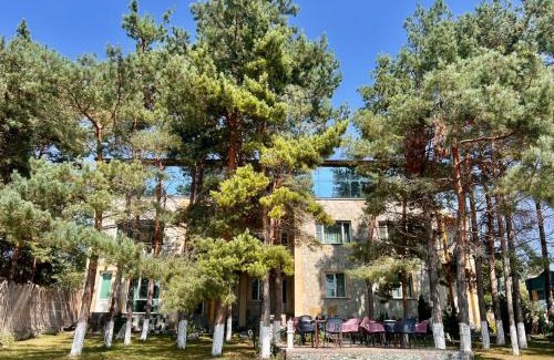 Sevan Hotel | Чичхани, Chichkhani, Չիչխանի