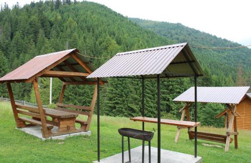 Soymy House | Шепіт Карпат