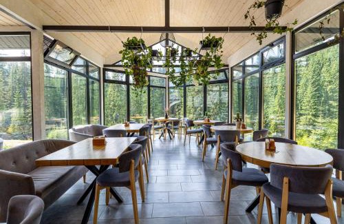 Yablunytsya Hotel | Шишка