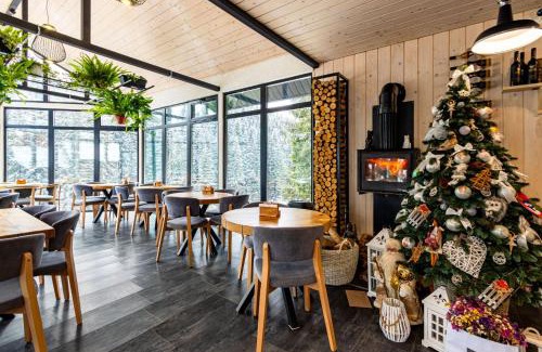 Yablunytsya Hotel | Шишка