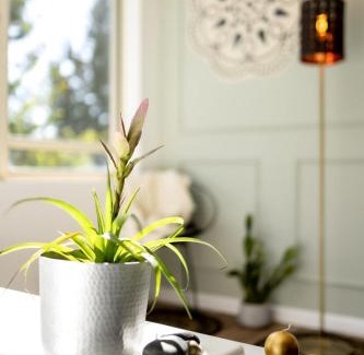 Kfar Vradim Cabin | אוסנתה סוויטת בוטיק עם בריכה פרטית